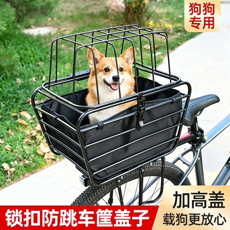 Mountain Biking With Dog - Bicycle Basket with Dog Artifact Mountain