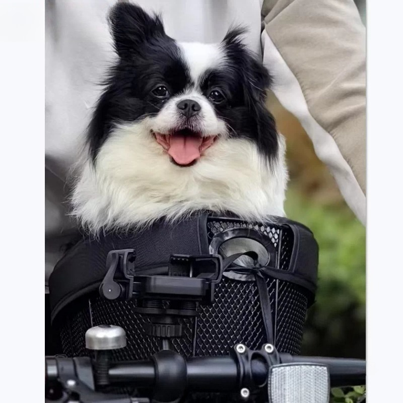 Foldable Bicycle Dog Basket,Pe - Mountain Biking With Dog 评论和价格