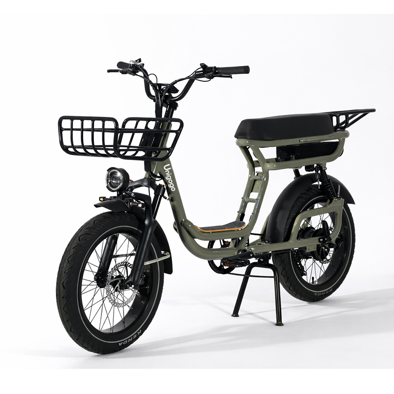 N3 20 Inch Electric Mountain B - Mountain Biking App 评论和价格
