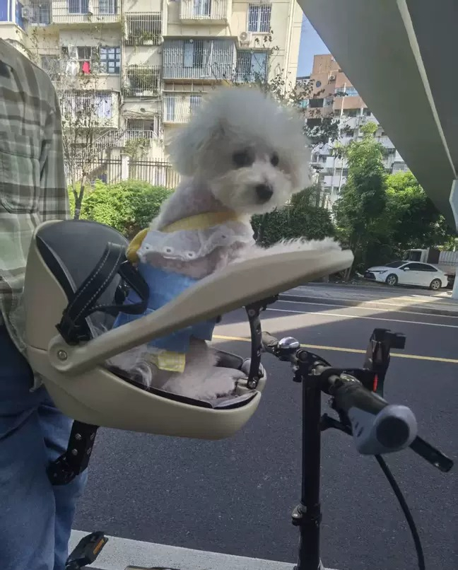 Suitable for folding bicycles, - Mountain Biking With Dog 评论和价格